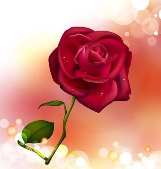 MarijaFranic's profile picture. 