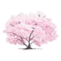 桜見 枝葉 sakura mi siyou (@kv5nbxwqw) 's Twitter Profile