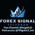 Forex Signal (@ForexSignaltg) Twitter profile photo