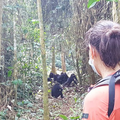 Researcher in primatology 🐒 and #AnimalLinguistics 🎤🙊
Titi monkeys & bonobos ❤️🦍
Postdoc at Dpt of Evolutionary Anthropology @UZH_en 🇨🇭
She/Her