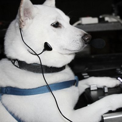 shu_lab333's profile picture. 主にやるゲーム「VALORANT、モンハンワイルズ」 これからやるLOL（TOPモルデ練習中  eSportsLab店員