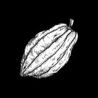 The Chocolate Bar NZ (@beantobar_nz) 's Twitter Profile