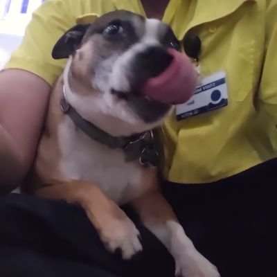 Roxy_sads's profile picture. 