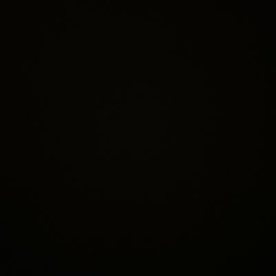 melissarrose's profile picture. 