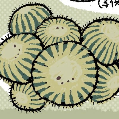 あこつさんのプロフィール画像