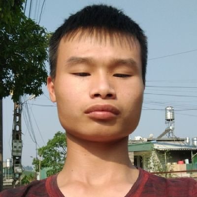 THIS IS THE OFFICIAL X (TWITTER) ACCOUNT OF US PRESIDENT TRẦN TIẾN TÙNG. (FAKE).
