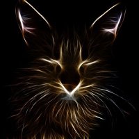 AfricanWildCat (@africanwildcat_) 's Twitter Profile Photo AfricanWildCat (@africanwildcat_) 's Twitter Profile Photo