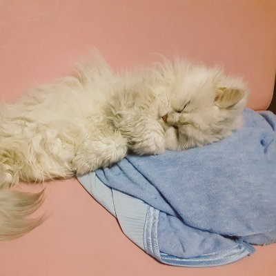 ひろさんのプロフィール画像