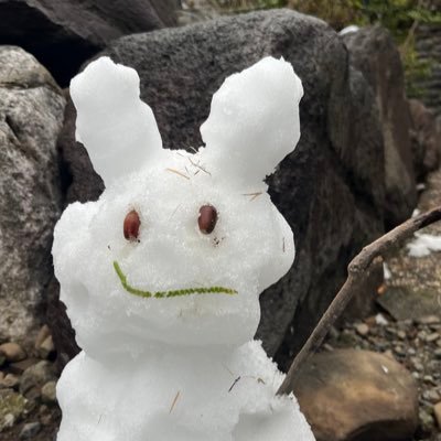 息子のサッカーに振り回されてるジャイアンツ好きなキャンパー🐰🏕️