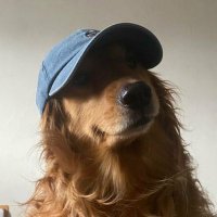 DAMS (@_paradox_01) 's Twitter Profile