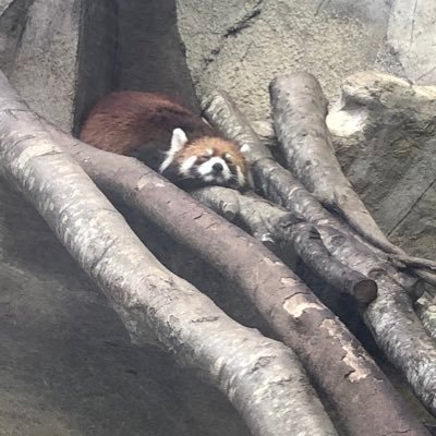ou_syb's profile picture. 