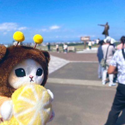 quiz_kadod's profile picture. クイズすき 猫も好き 麻雀もそこそこ好き のゲームP