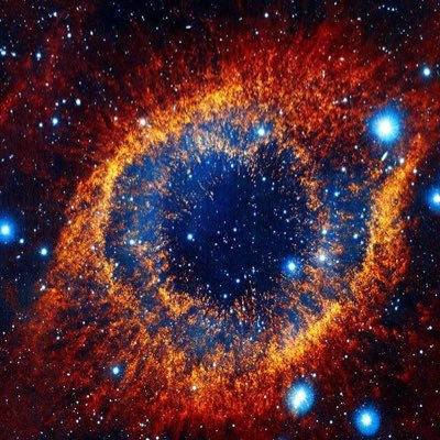 chain_agnostic's profile picture. Smart Contract Developer