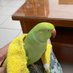 Animal Show (@animal2show) Twitter profile photo Animal Show (@animal2show) Twitter profile photo