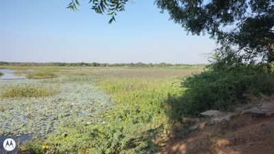 Save water 🌊 💦 

VANAPURAM 🌾