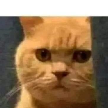 Vico267's profile picture. Por ahora esperando el verano ... eso creo