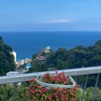 ぴ (@sau_______7) 's Twitter Profile