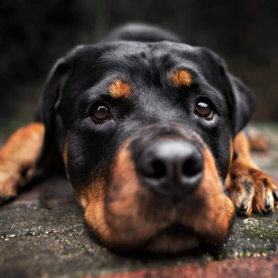 0xcannn's profile picture. Software Developer | Cosmos Ecosystem Validator |@powerpoolcvp Keeper | blockchain technology and decentralized systems|