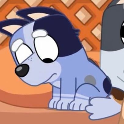 A huge fan of PAW Patrol🐾 My favourite character is Skye🩷
I also like watching Bluey and my favourite character is Bingo🧡
https://t.co/KUUyhXr1FN
