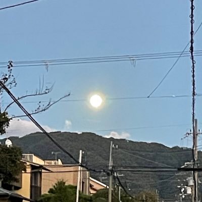 hikaru_0375912's profile picture. 