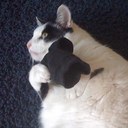 uwe meyer - @hobby200 - Twitter