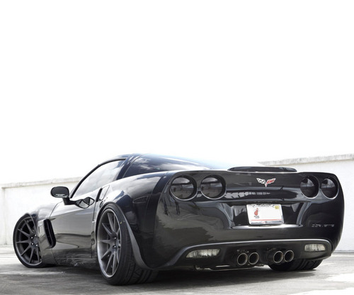 rolagto's profile picture. 🇺🇲