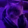 SparleRz's profile picture. 21 (: silly cat enthusiast