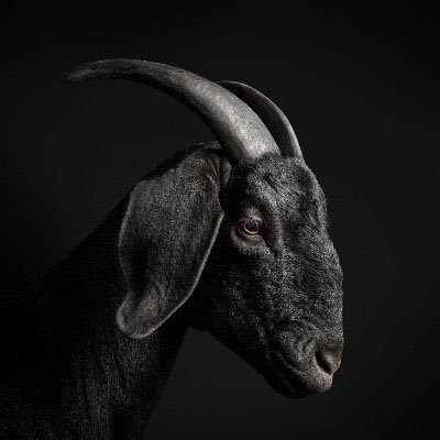 TreasureKidd's profile picture. Everything could change, depend on what you do today.