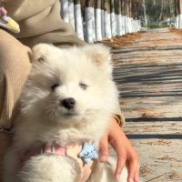 Amanda (@amanda54564) 's Twitter Profile
