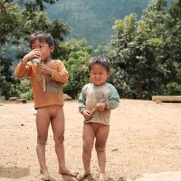 Đào Minh (@ozer_v) 's Twitter Profile