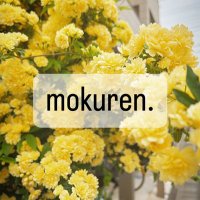 mokuren.(@haruca_sora) 's Twitter Profile Photo