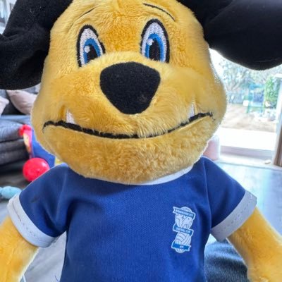 DeclanD50608190's profile picture. Accountant & MD. A dogs love is special as are my two. Dad, granddad, bluenose. KRO. No PC, no rejoin, gender, climate bullshit. Far Right apparently.