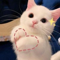 𝗕𝗕𝗮𝗶𝗳𝗲𝗿𝗻 🍯 (@bbaifern_o) 's Twitter Profile Photo 𝗕𝗕𝗮𝗶𝗳𝗲𝗿𝗻 🍯 (@bbaifern_o) 's Twitter Profile Photo