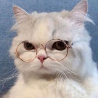 小六两把壶 (@xiolilingb76191) 's Twitter Profile