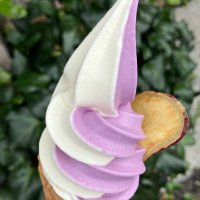 Matatabi Type Beat (@matatabi_beats) 's Twitter Profile Photo