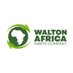 Walton Africa♻️ (@WaltonAfrica1) Twitter profile photo