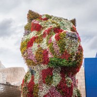 Science Bilbao(@sciencebilbao) 's Twitter Profile Photo