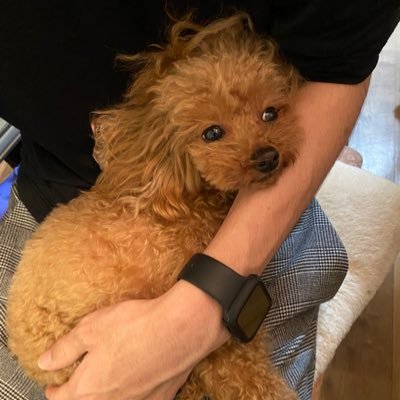 23歳 / エンジニア / React, TypeScript, Next.js, React Native, Expo
