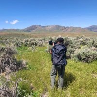 Ryan Bourbour (@talondna) 's Twitter Profile Photo