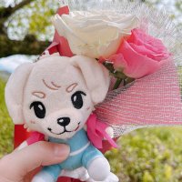 Ku36mi (@yone7kum) 's Twitter Profile Photo Ku36mi (@yone7kum) 's Twitter Profile Photo