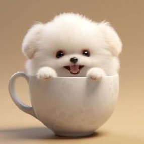 me jus a lil dog in cup, woof woof  tktok: https://t.co/Dg9THTkbk7 tlgram: https://t.co/4HpKhiEr97 wbsite below