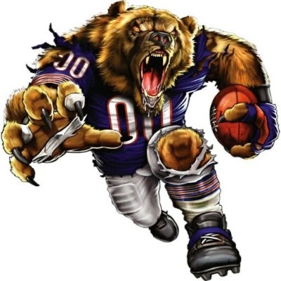 BEAR DOWN FOREVER. Loyal Chicago Bears / Bulls Fan / Come On City!!!!!