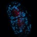 Art4Science (@rimatesa91) Twitter profile photo Art4Science (@rimatesa91) Twitter profile photo