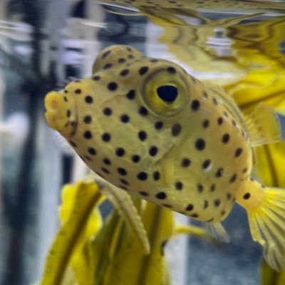 アパレル販売員→ecサイト運営者歴10年。洋服、radiohead、カメラ、バスケ、将棋が好きです。