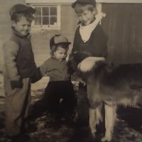 Rick Ostendorf (@howling751) 's Twitter Profile