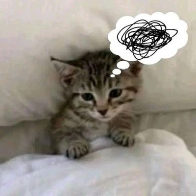 vixxlatier's profile picture. maybe here