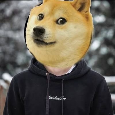 Doge army member from California.
Doge Node Runner.