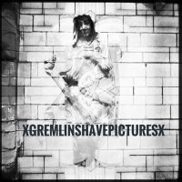 XgremlinshavepicturesX(@GREMLINPICTURES) 's Twitter Profile Photo