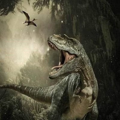 Marek42337358's profile picture. 