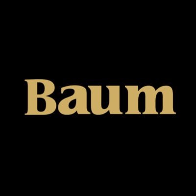 Original Composite Wood Bat. World's Strongest since 1993 💪 bbcor approved #baumbat